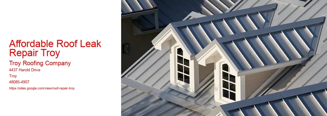 Affordable Roof Leak Repair Troy