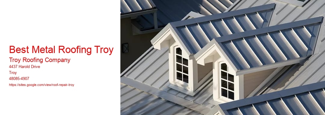 Best Metal Roofing Troy