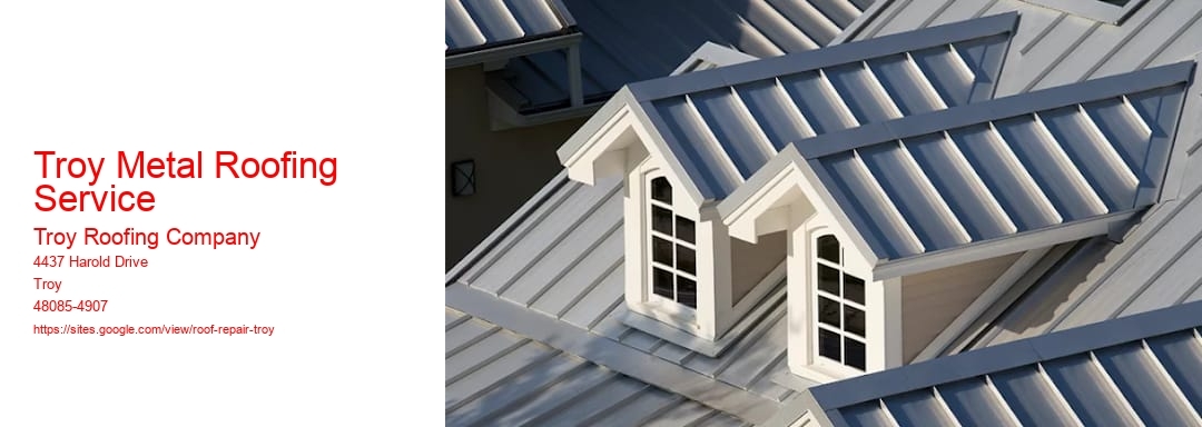 Troy Metal Roofing Service