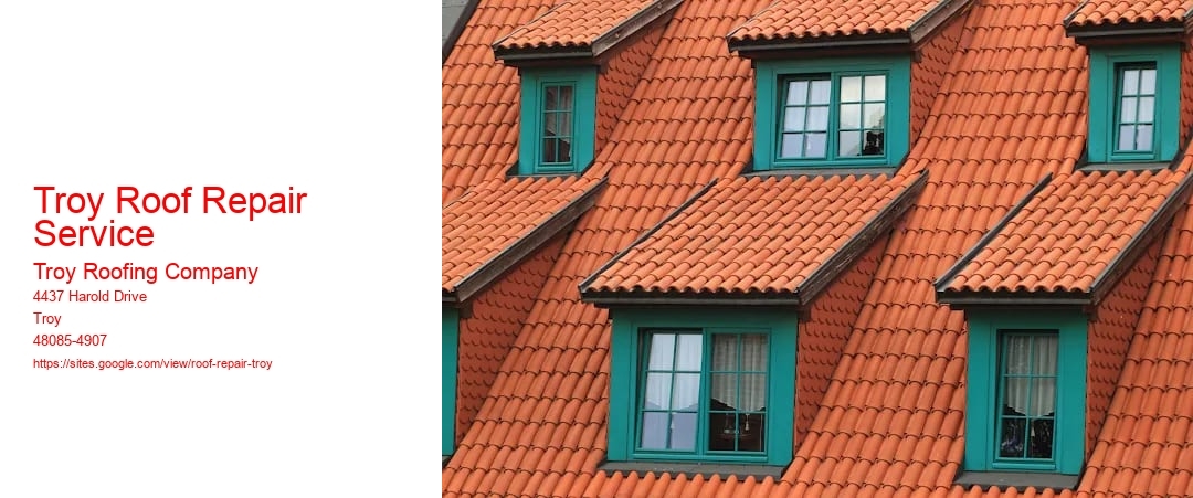 Troy Roof Repair Service